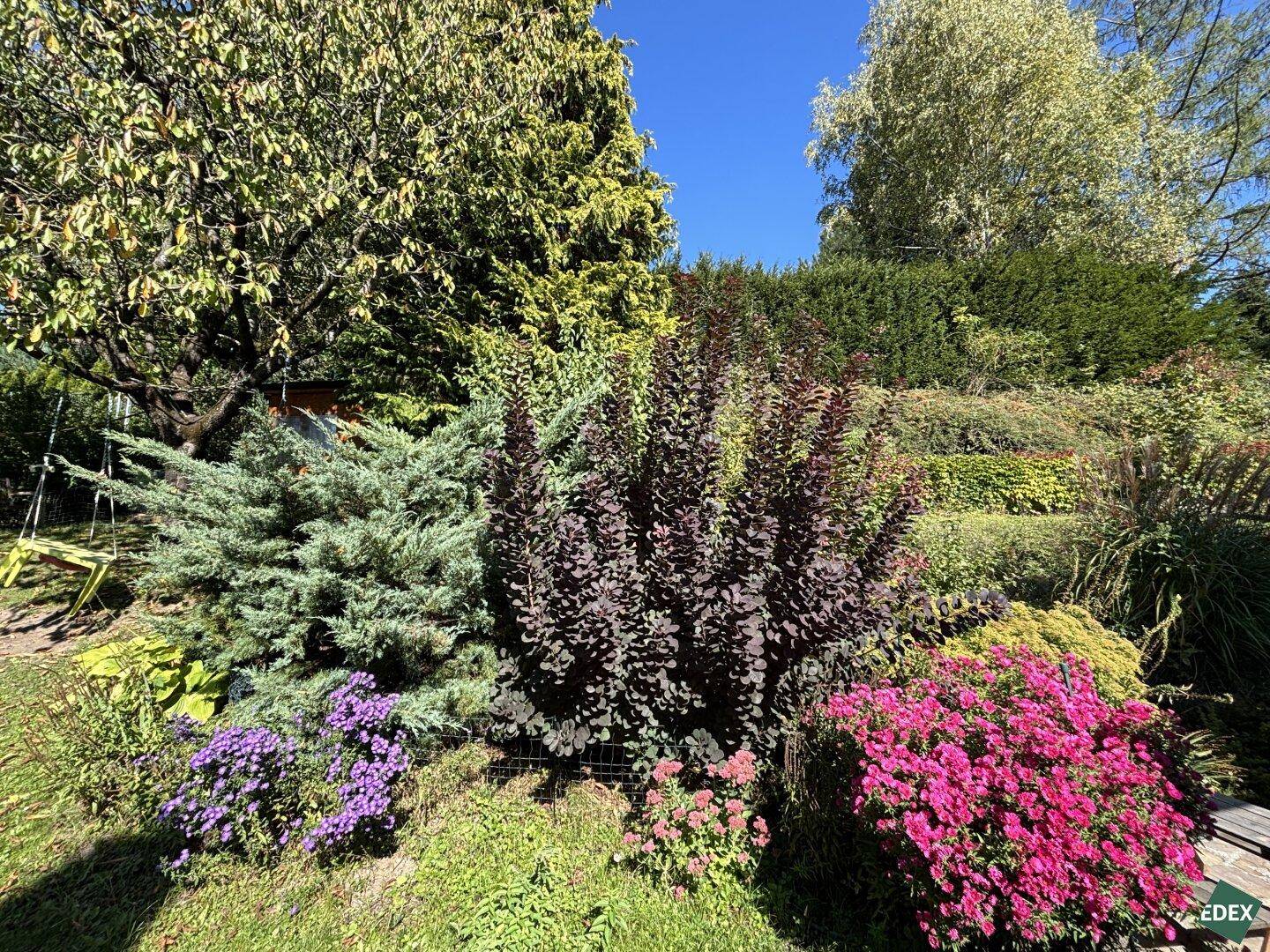 Farbenfrohes Blumenbeet mit verschiedenen blühenden Pflanzen und Sträuchern in einem gepflegten Garten.