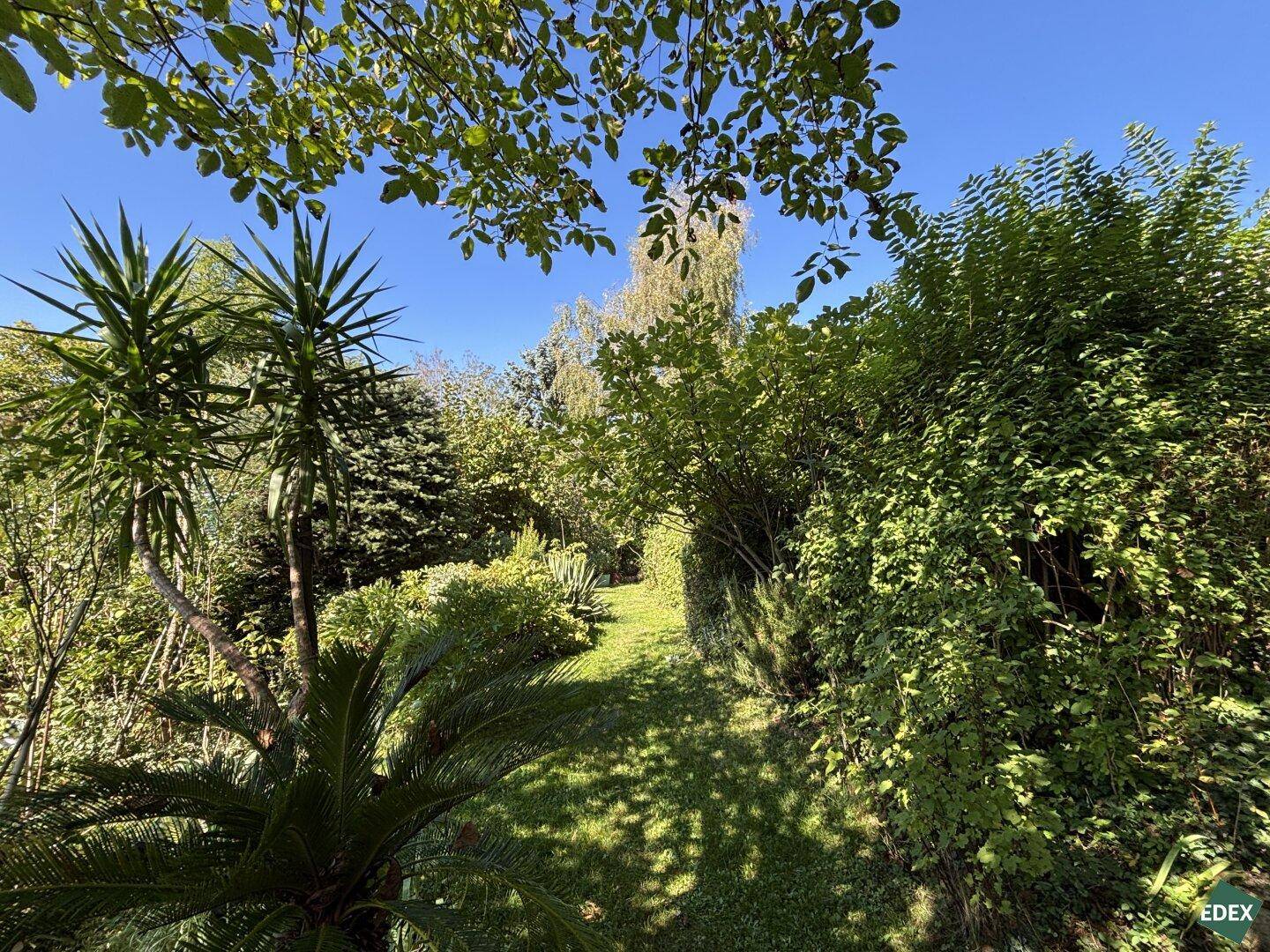 Verwunschener Gartenweg schlängelt sich durch üppiges Grün mit exotischen Pflanzen und Palmen.