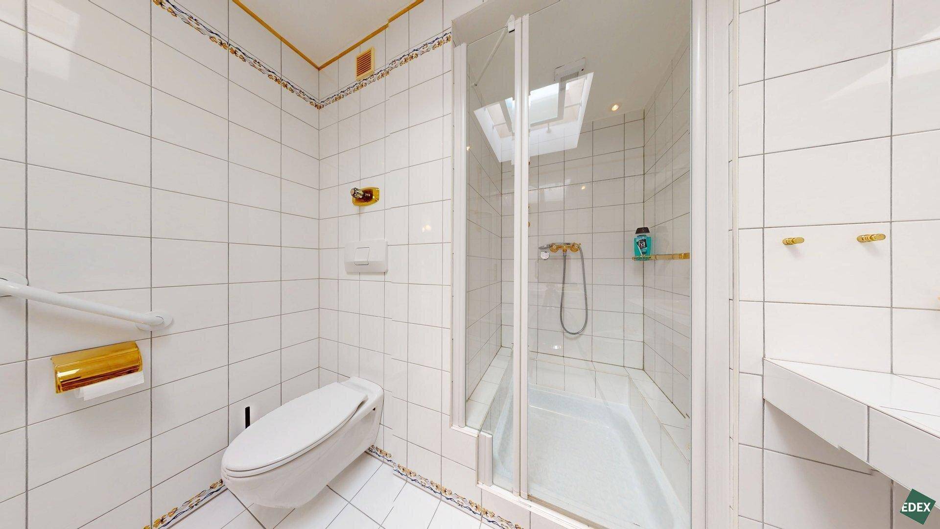 Badezimmer mit Duschkabine, Toilette, Dachfenster und Haltegriffen für Barrierefreiheit.