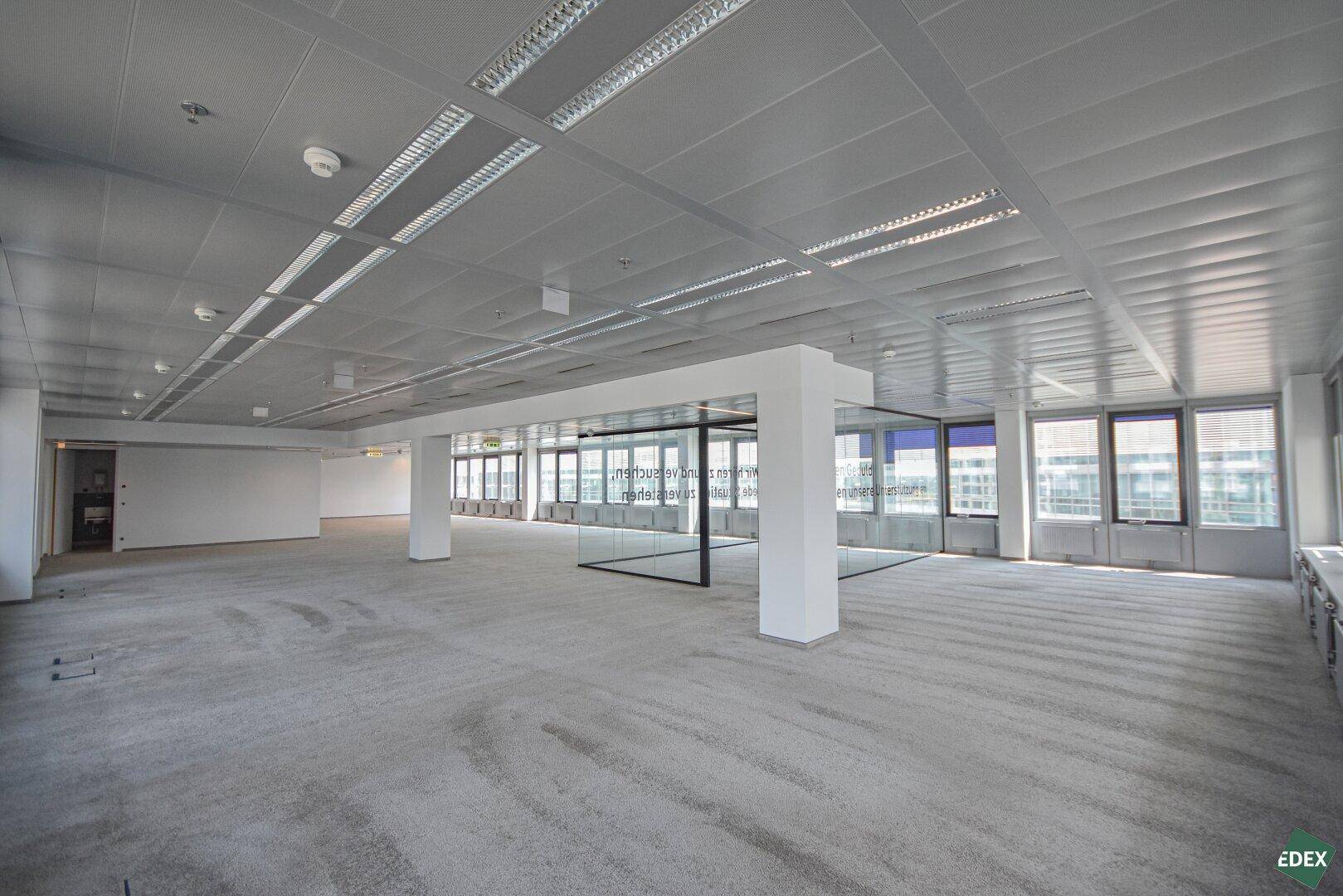 Geräumiges, leeres Büro mit Teppichboden, großen Fenstern und einer modernen Glasabtrennung in der Mitte.