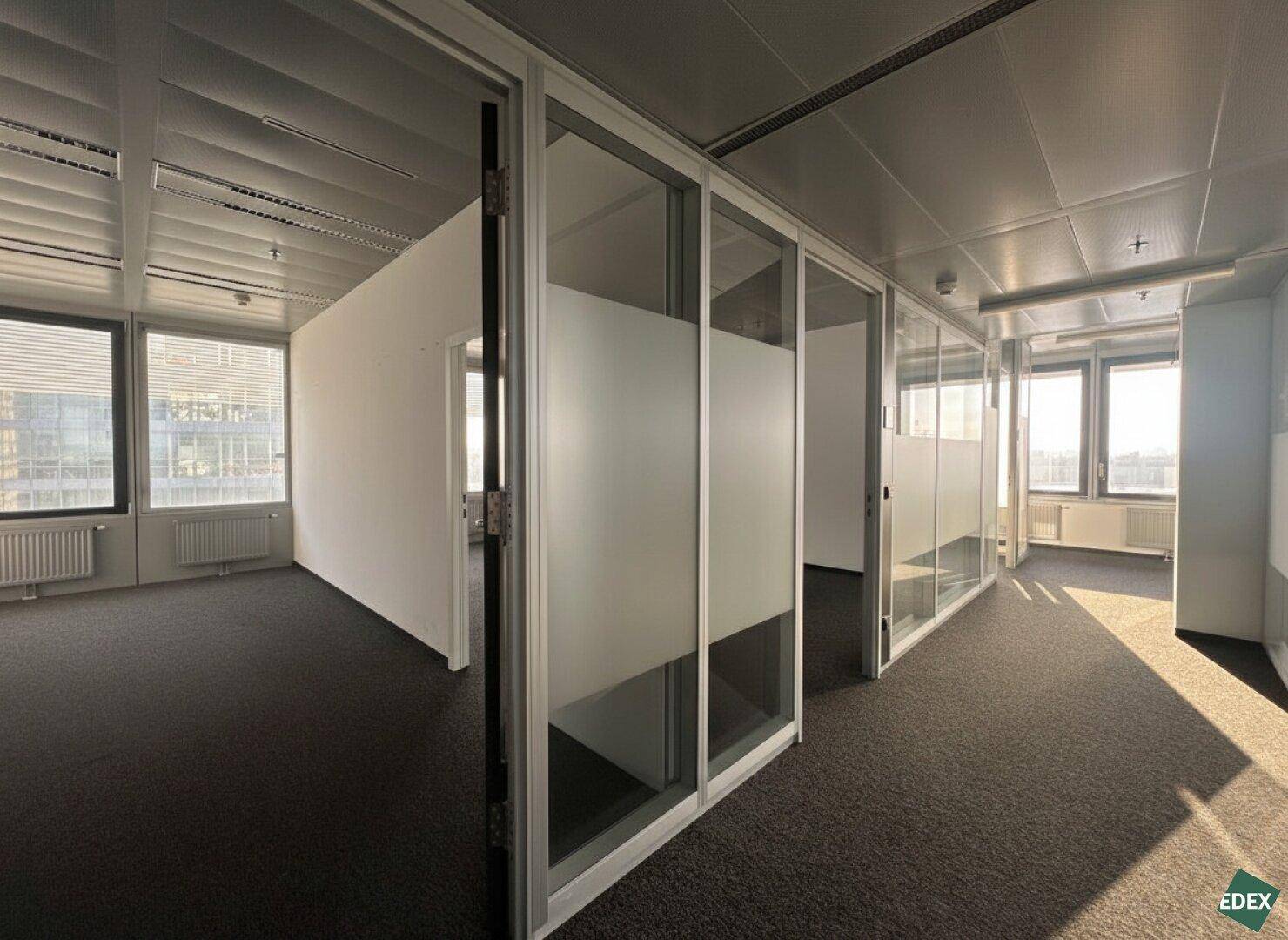 Heller Bürogang mit Glas- und Milchglaswänden, Teppichboden und natürlichem Lichteinfall durch die Fenster.