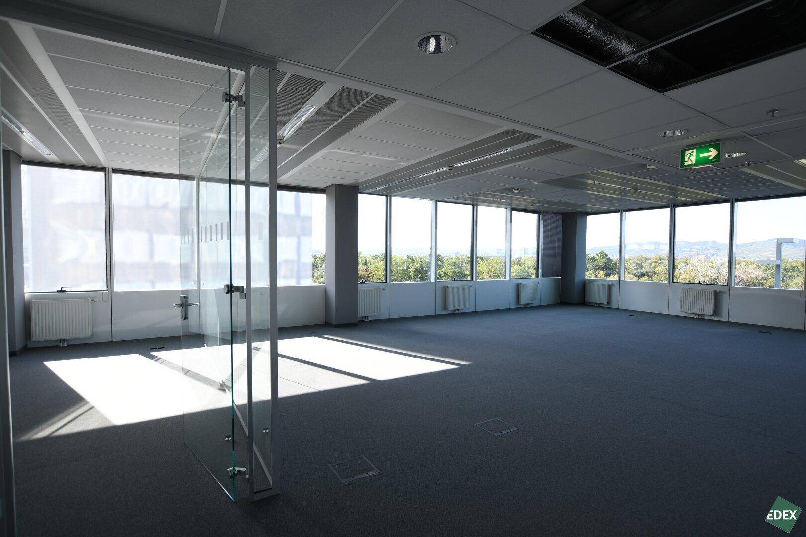 Heller Büroraum mit großen Fenstern, Teppichboden und Blick ins Grüne, ausgestattet mit Glasabtrennung.