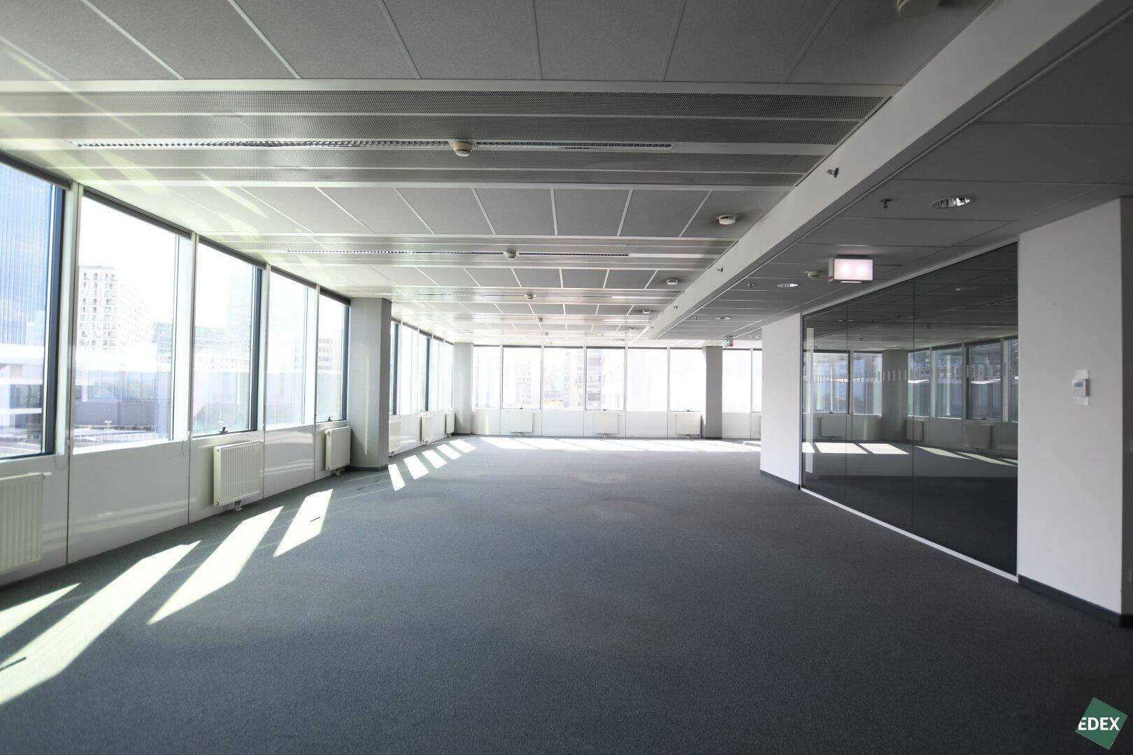 Geräumiger Bürobereich mit durchgehenden Fensterfronten, Teppichboden und viel Tageslicht.