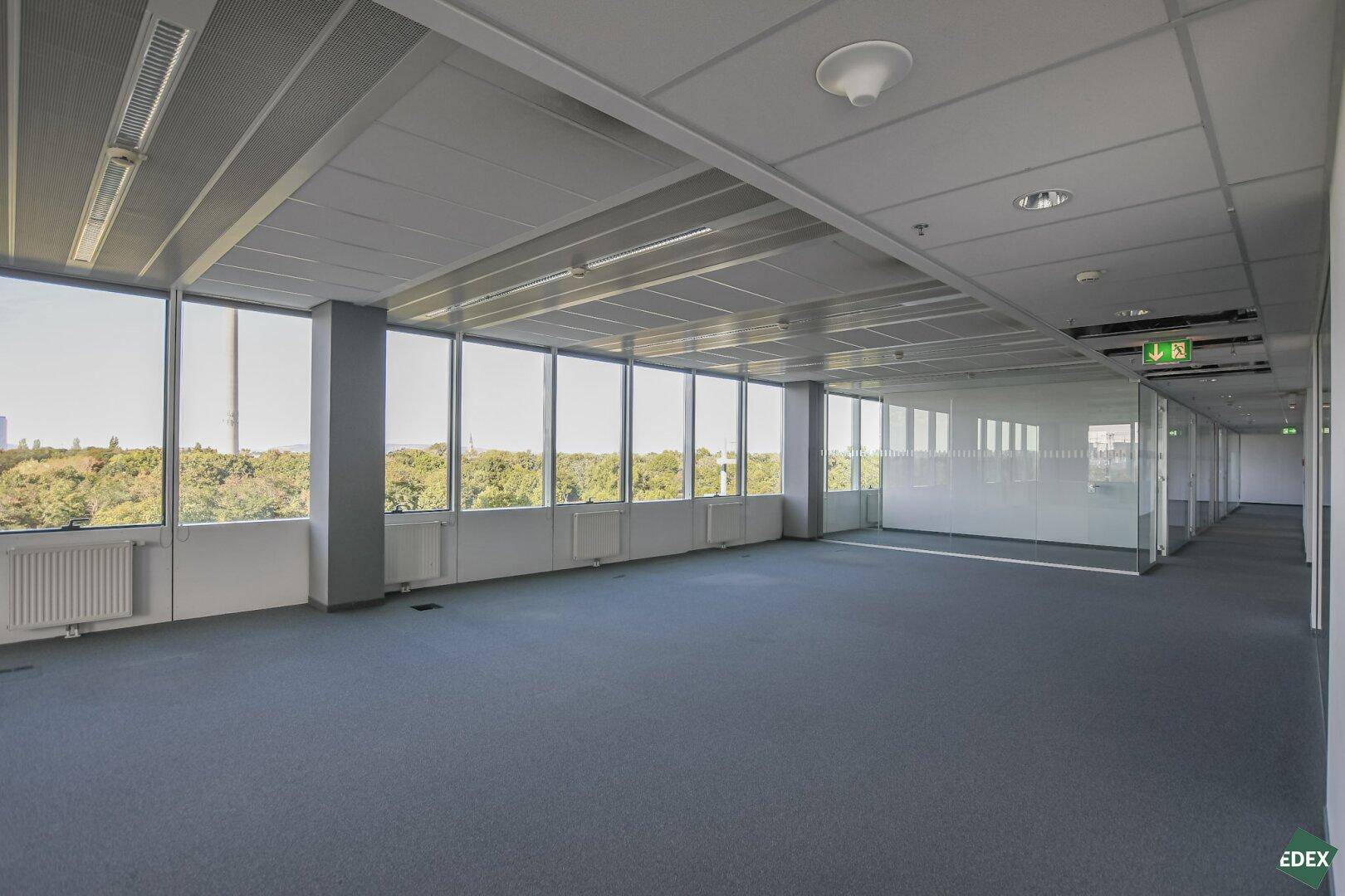 Großes, leeres Büro mit Teppichboden und durchgehenden Fenstern, die einen weiten Blick auf die grüne Umgebung bieten.
