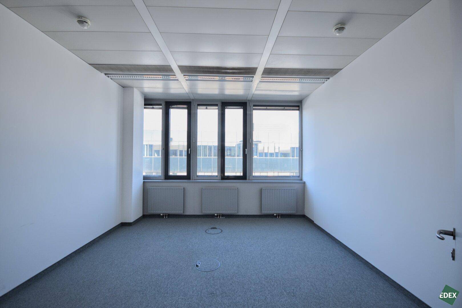 Kleinerer Büroraum mit Teppichboden und drei Fenstern, ideal für ein Einzelbüro.