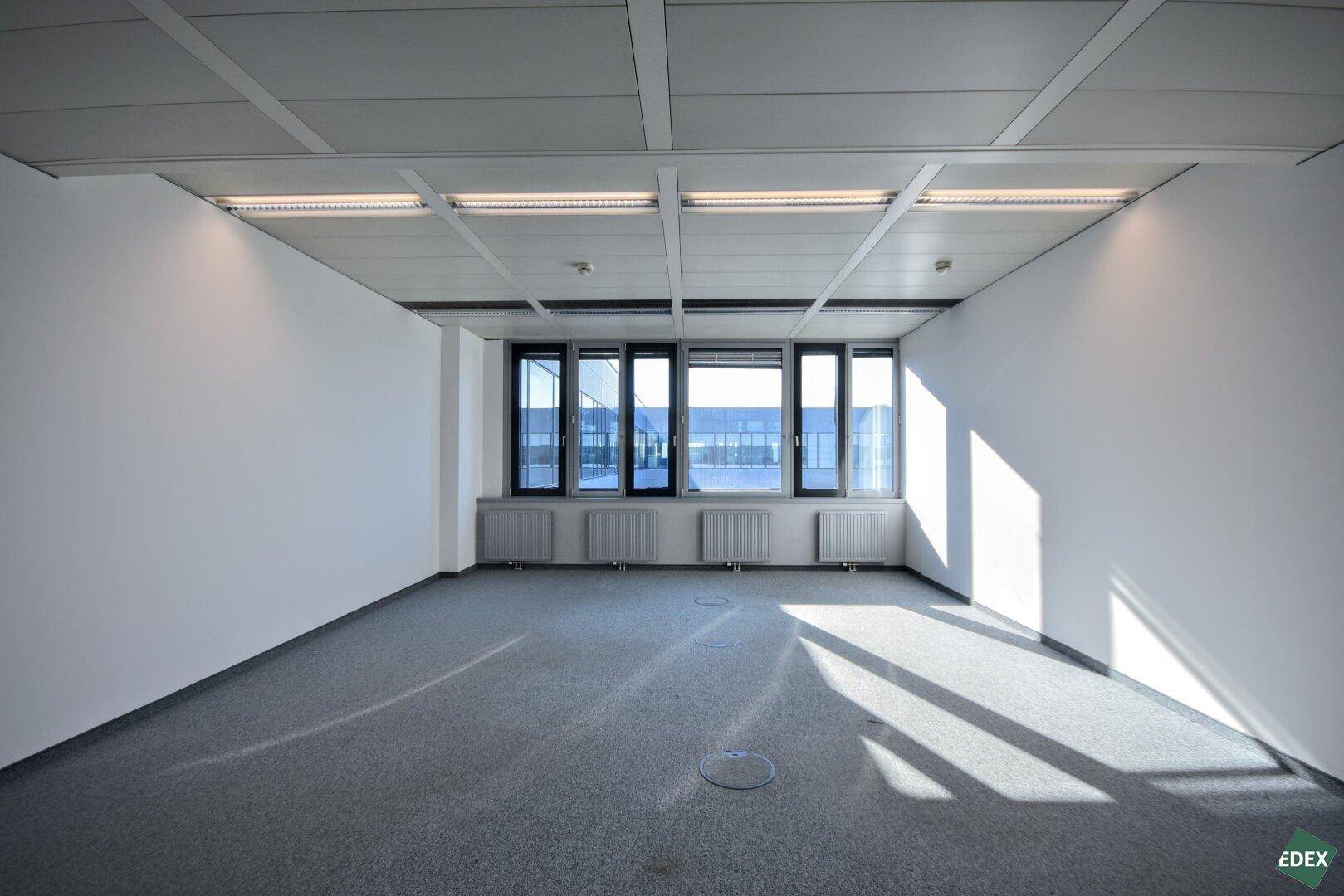 Heller Büroraum mit Teppichboden und direkter Sonneneinstrahlung durch die Fenster.