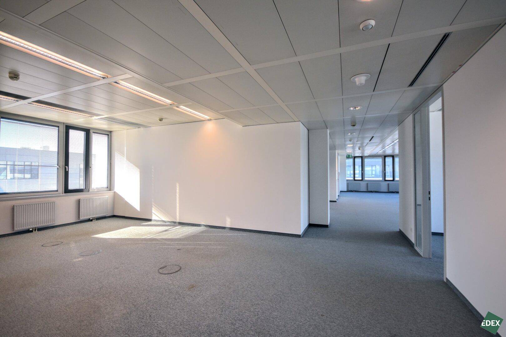 Langer Bürogang mit Teppichboden und Fenstern, die den Bereich mit Tageslicht versorgen.