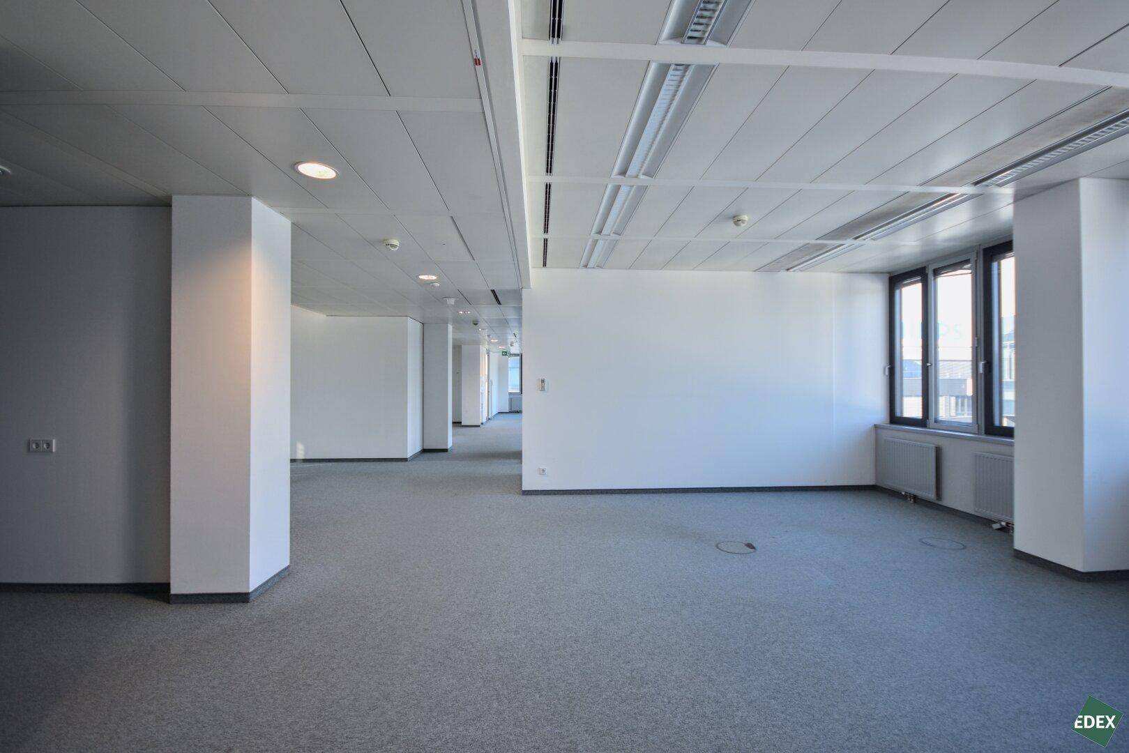 Offener Bürobereich mit Säulen, Teppichboden und vielen Fenstern, die eine helle Atmosphäre schaffen.