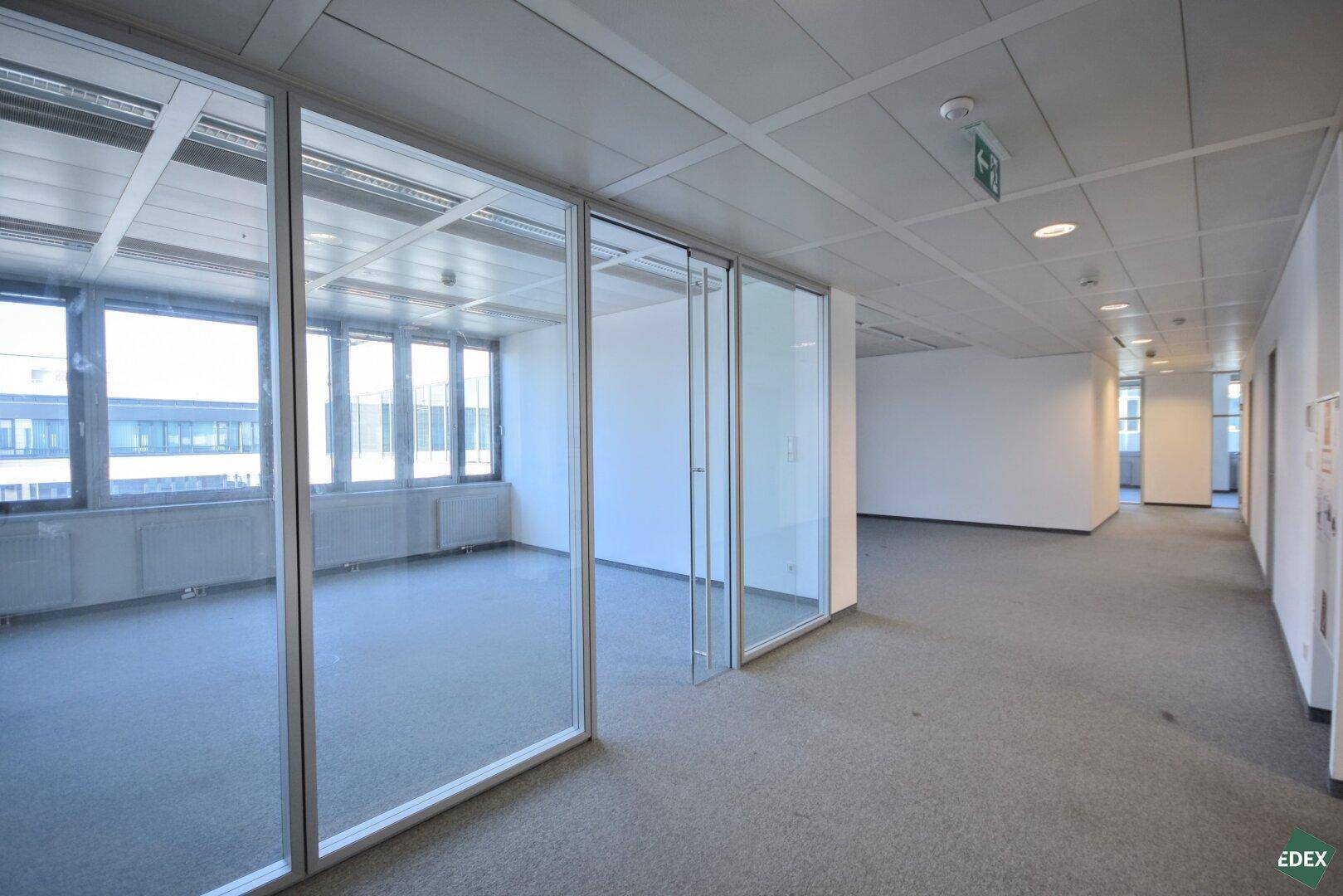 Heller Bürobereich mit modernen Glaswänden und Teppichboden, der eine offene Arbeitsumgebung schafft.