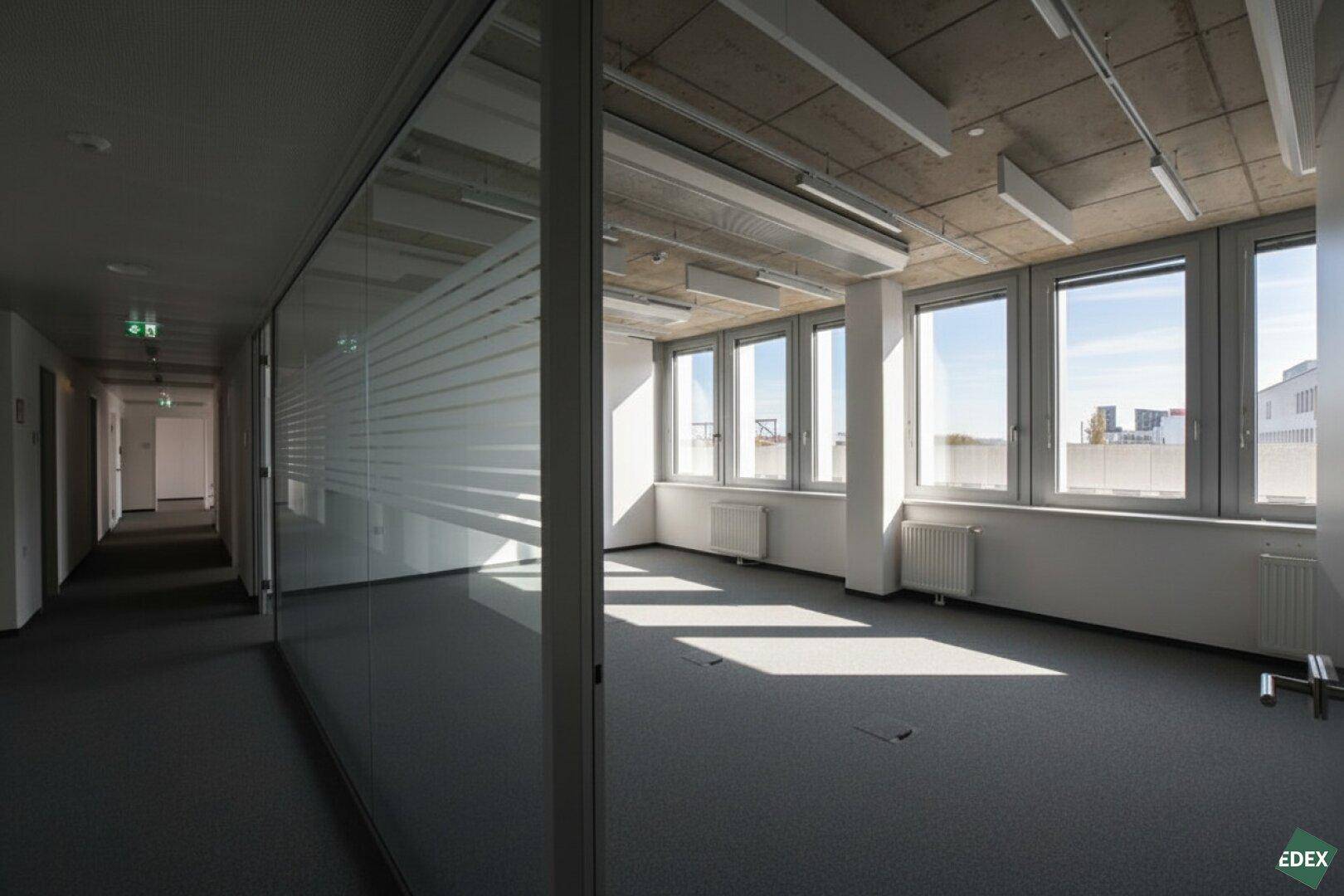 Heller Büroraum mit Glasabtrennung und Teppichboden, der eine moderne und funktionale Arbeitsumgebung bietet.
