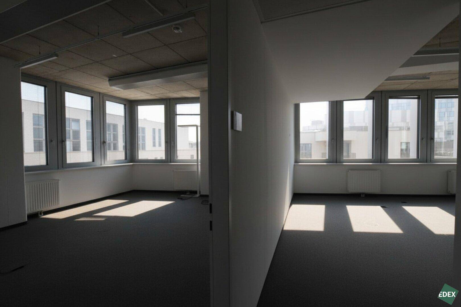 Büroraum mit Teppichboden und großen Fenstern, geteilt durch eine Trennwand, die separate Arbeitsbereiche schafft.