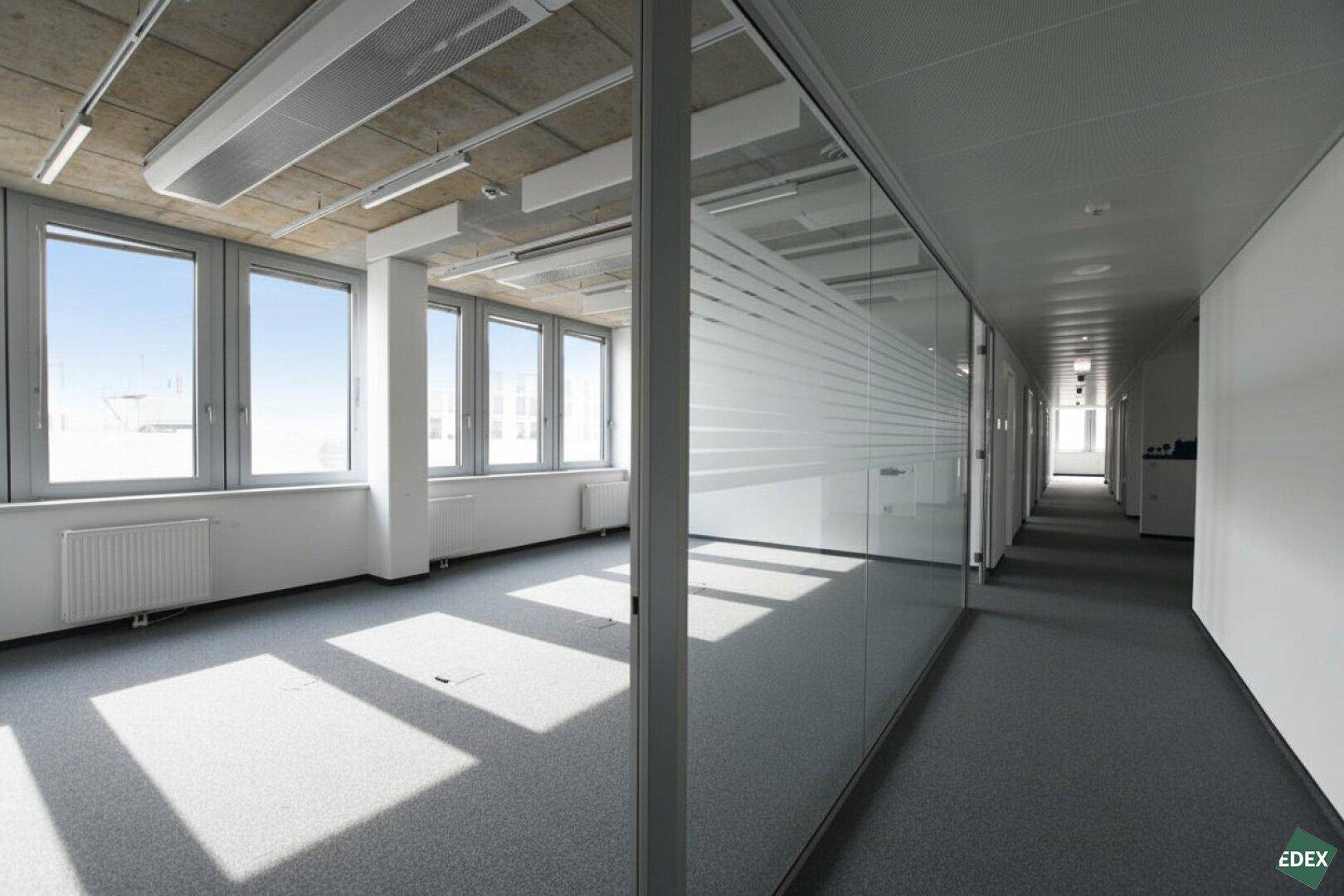 Modernes Büro mit Glaswänden, Teppichboden und natürlichem Lichteinfall durch große Fenster.