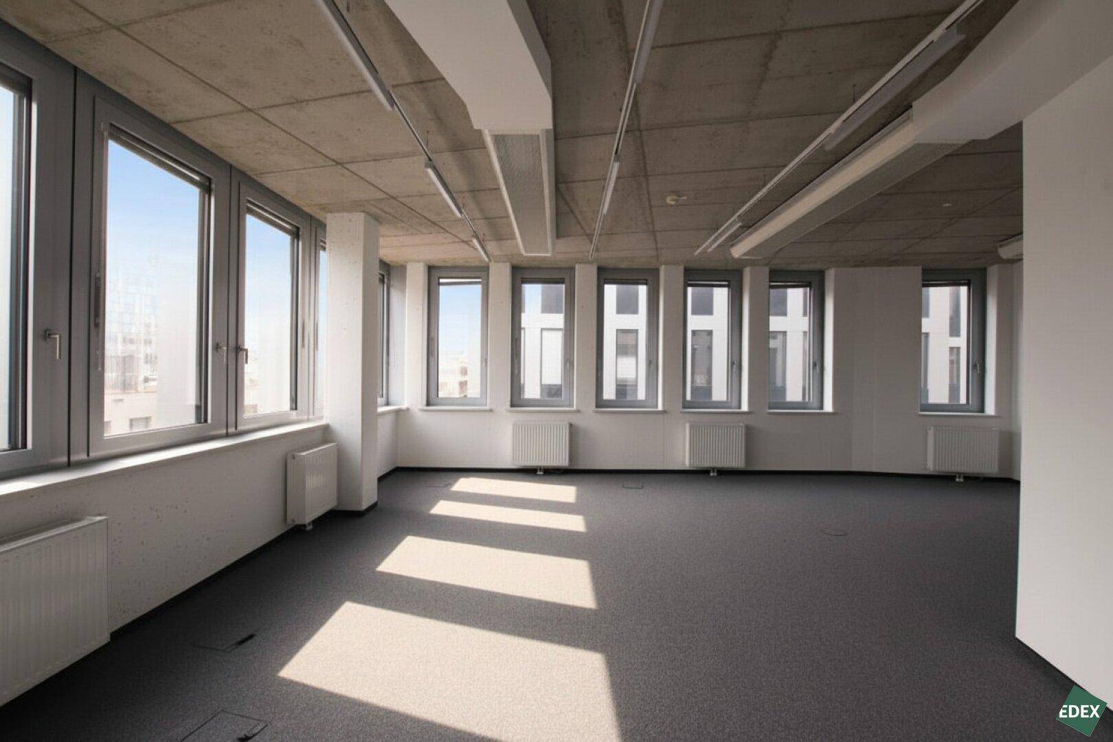 Leeres Büro mit Teppichboden, vielen Fenstern und Sonnenlichtstreifen auf dem Boden.