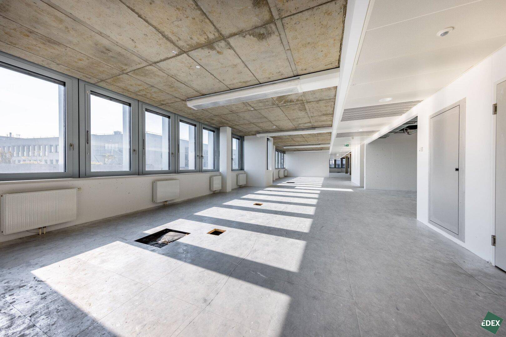 Großraumbüro im Rohbauzustand mit Betonboden, großen Fenstern und sichtbaren Decken.