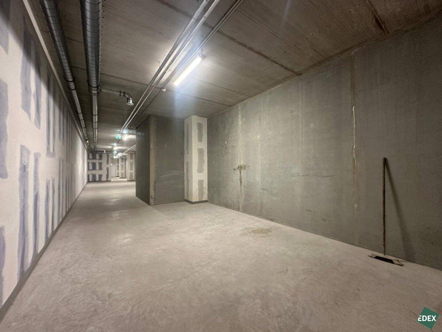 Geräumiger Kellerbereich mit Betonwänden, Säulen und einfacher Beleuchtung in neuwertigem Zustand.