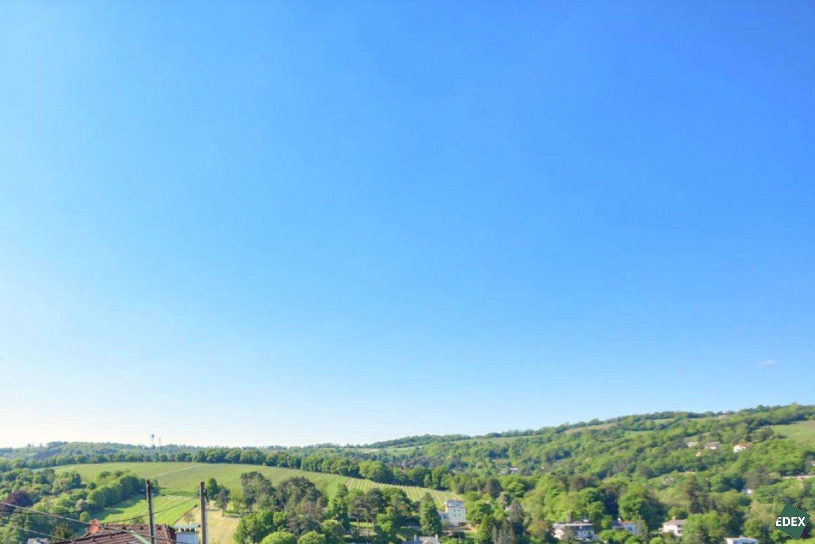 Panoramablick auf die weite, grüne Hügellandschaft unter einem strahlend blauen Himmel.