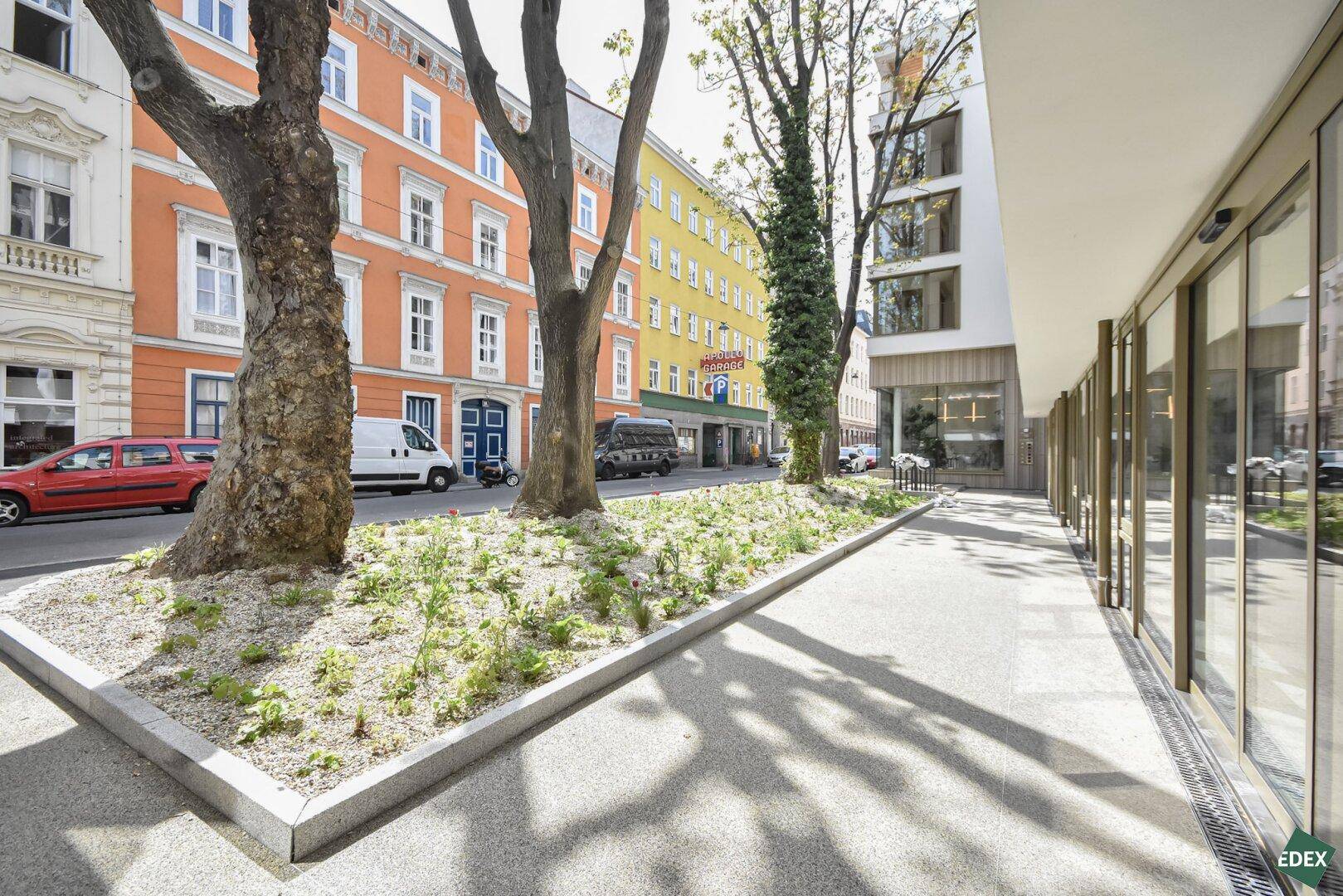 Lebendige Stadtstraße mit Bäumen, Grünflächen und farbenfrohen Altbauten im Hintergrund.