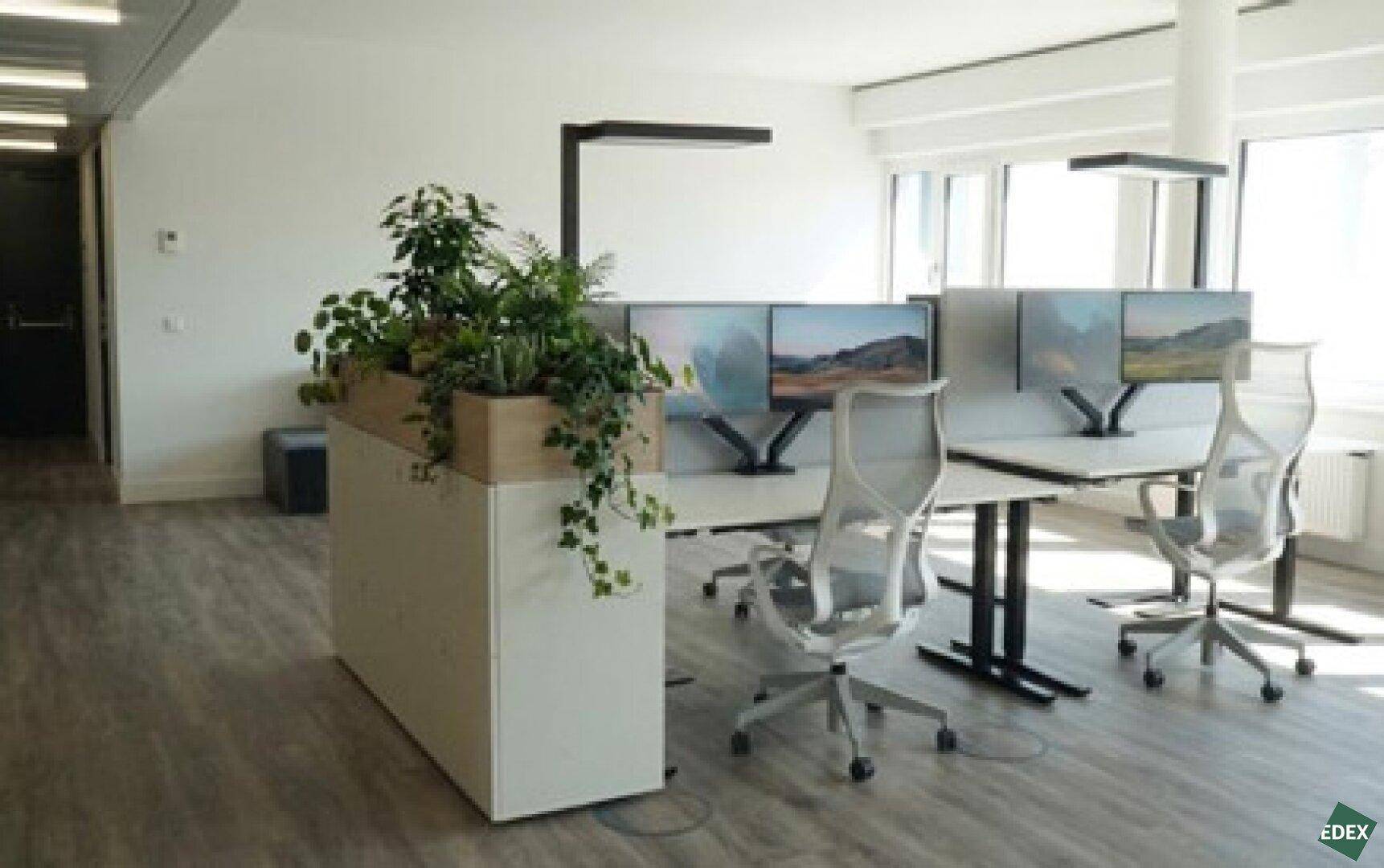 Offenes Büro mit mehreren Arbeitsplätzen, großen Monitoren und einer dekorativen Pflanzeninsel als Raumteiler.