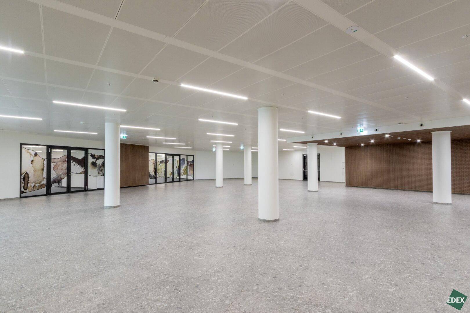 Geräumiger, leerer Saal mit Säulen, Holzvertäfelung und hellem Terrazzoboden, ideal für Veranstaltungen.