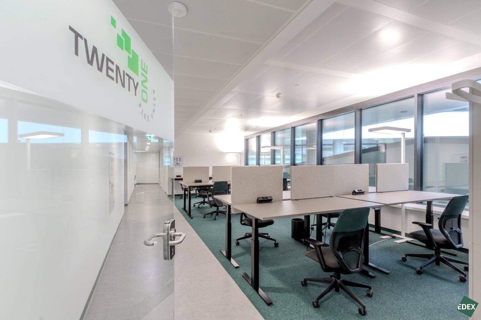 Offenes Büro mit mehreren Arbeitsplätzen, großen Fenstern und moderner Einrichtung.