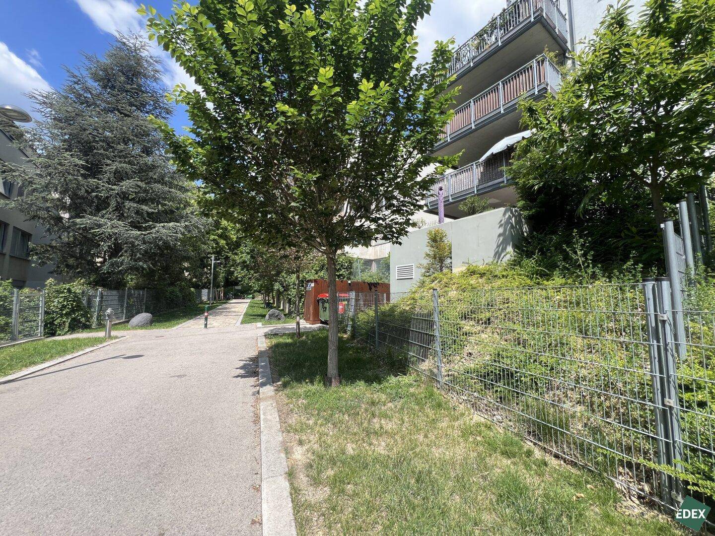 Ruhige Wohnstraße mit viel Grün und Bäumen, die eine angenehme Umgebung schafft.