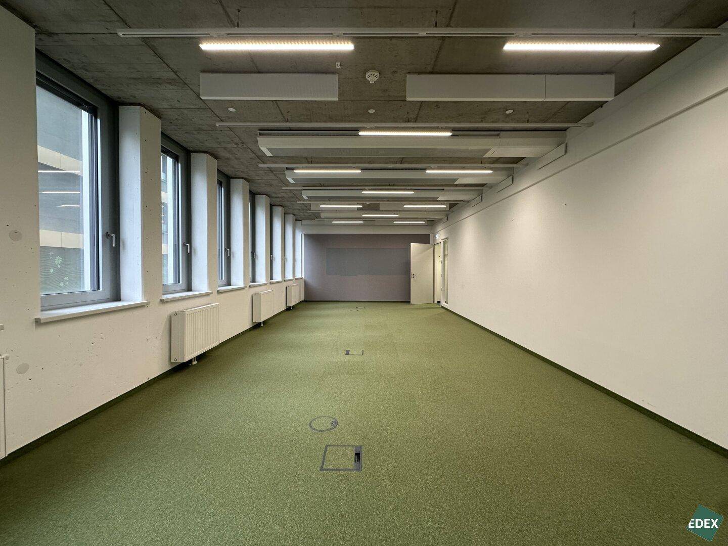 Langer Büroraum mit grünem Teppichboden, vielen Fenstern und Deckenbeleuchtung.