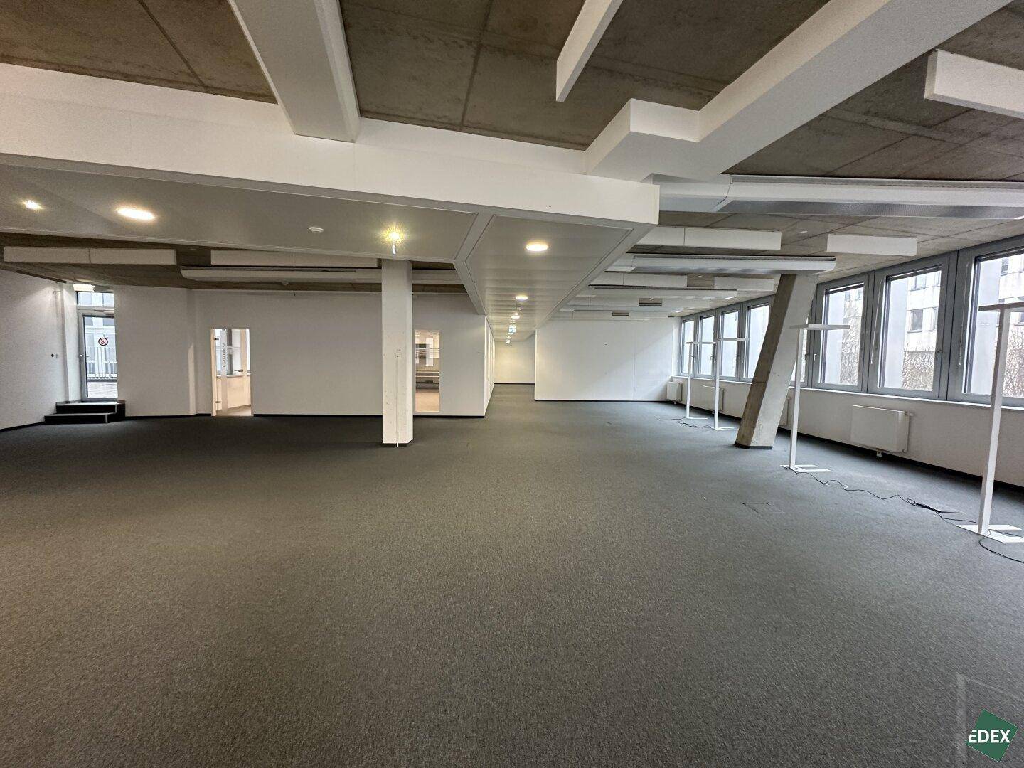 Weitläufiges Büro mit Teppichboden, vielen Fenstern und strukturierten Deckenpaneelen.