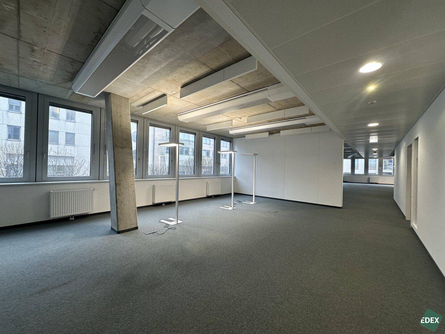 Helles Großraumbüro mit grauen Teppichfliesen, großen Fenstern und moderner Deckenbeleuchtung.
