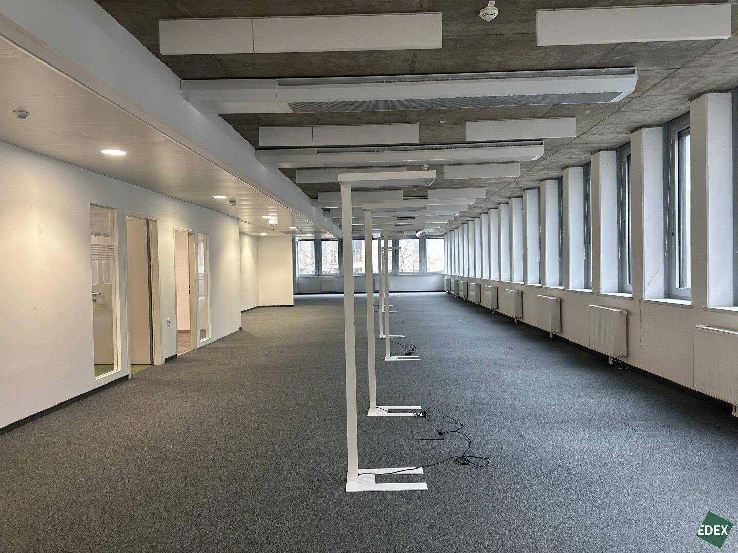 Geräumiges, leeres Büro mit Teppichboden, vielen Fenstern und sichtbaren Betondecken.