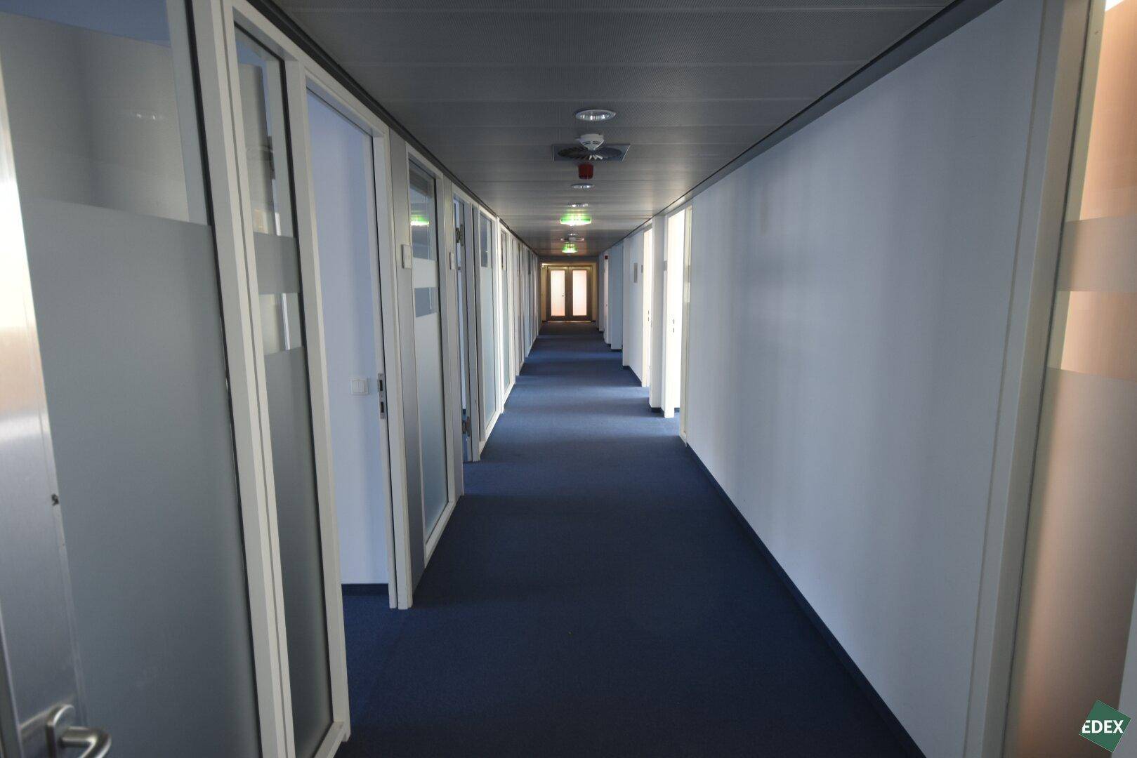 Langer, moderner Flur mit Teppichboden und vielen Bürotüren in einem Geschäftsgebäude.