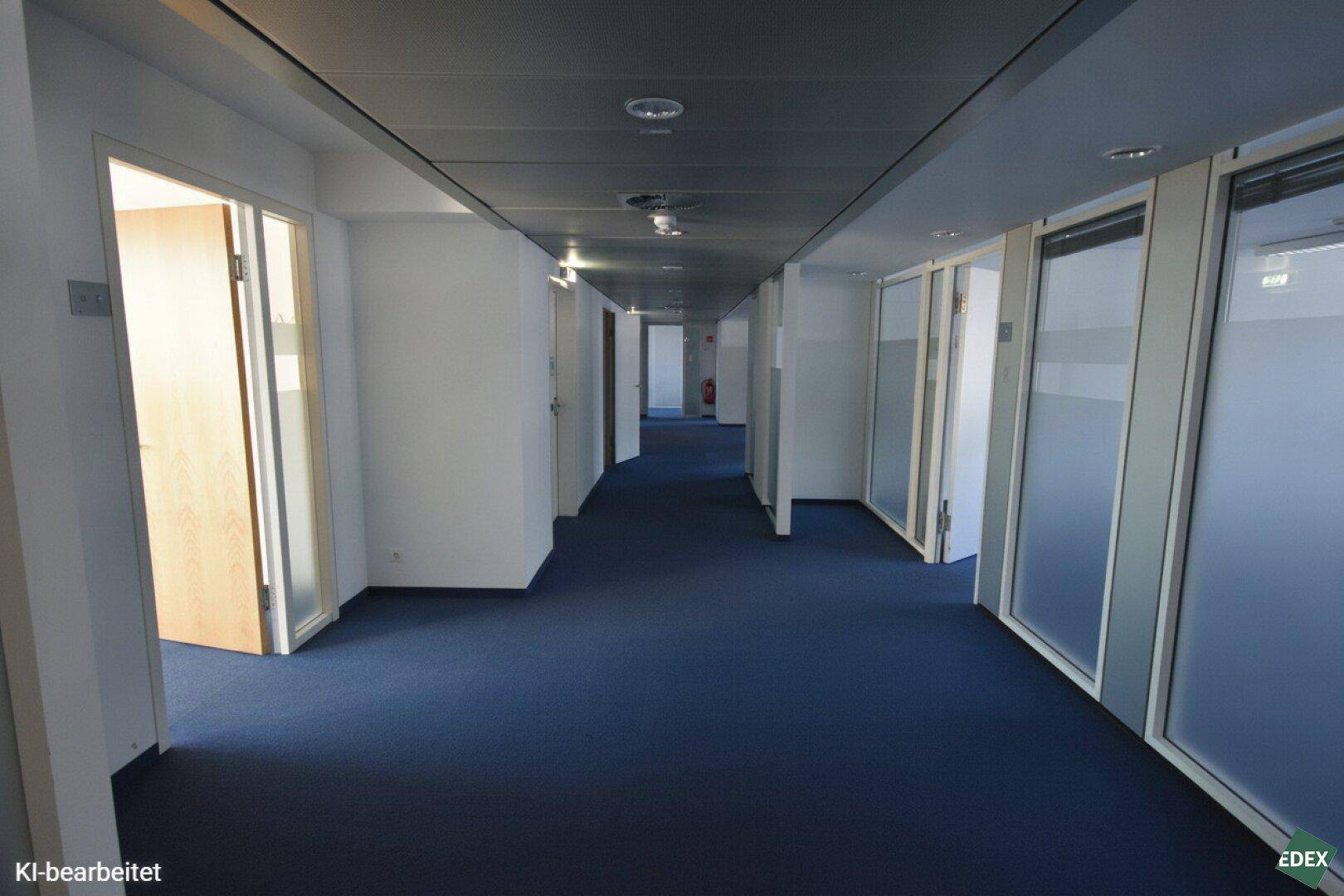 Langer Bürogang mit blauem Teppichboden, weißen Wänden und Türen mit Milchglas-Einsätzen.