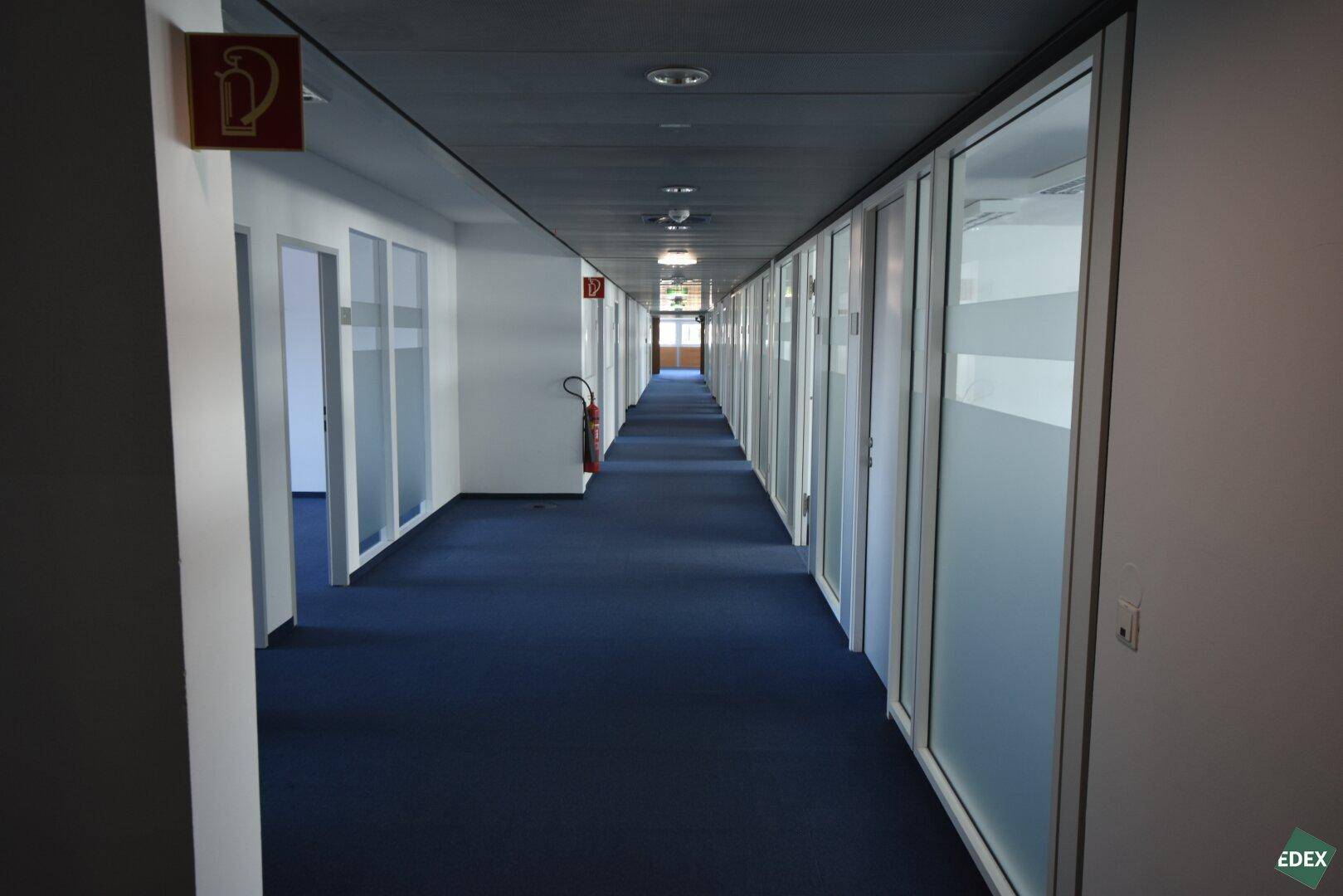 Langer Büroflur mit blauem Teppichboden und vielen Türen mit Milchglas-Einsätzen, die zu Büros führen.