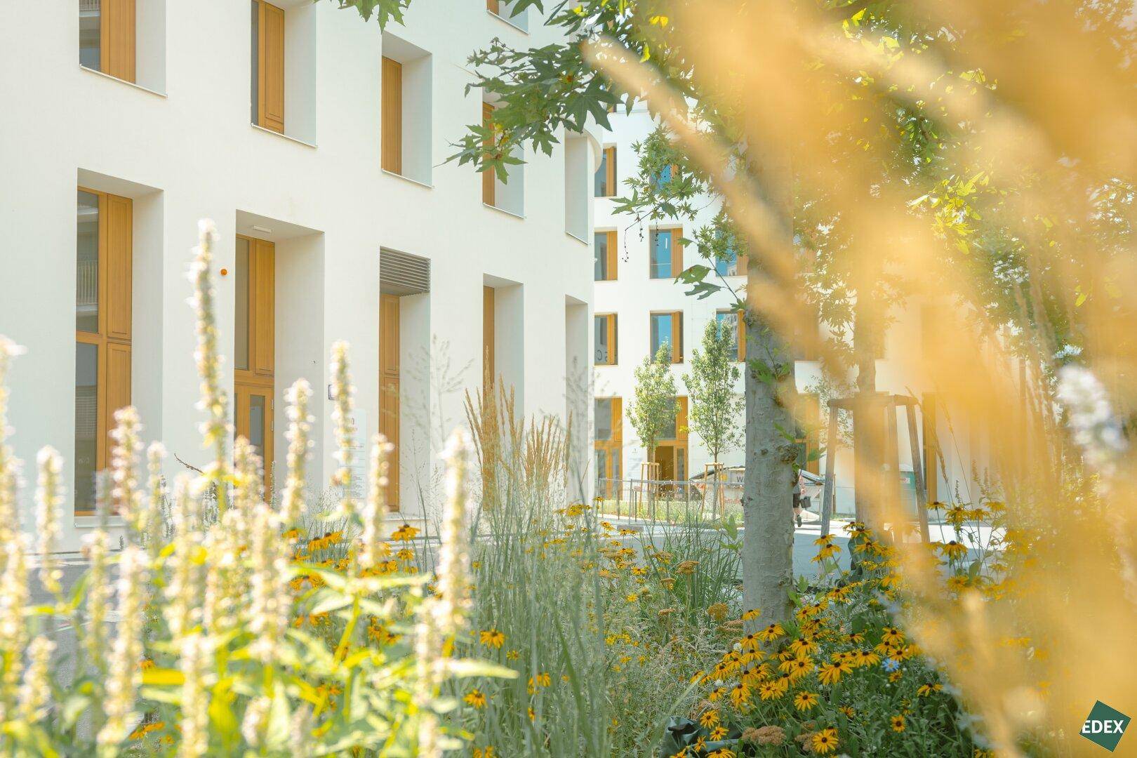 Blühende Pflanzen und Gräser im Vordergrund mit einem modernen Gebäude im Hintergrund an einem sonnigen Tag.