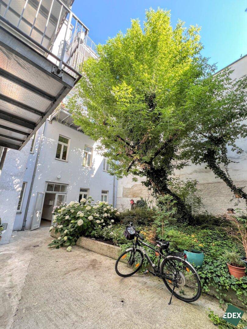 Ruhiger Innenhof mit viel Grün, einem Fahrrad und dem Eingang zum Gebäude.