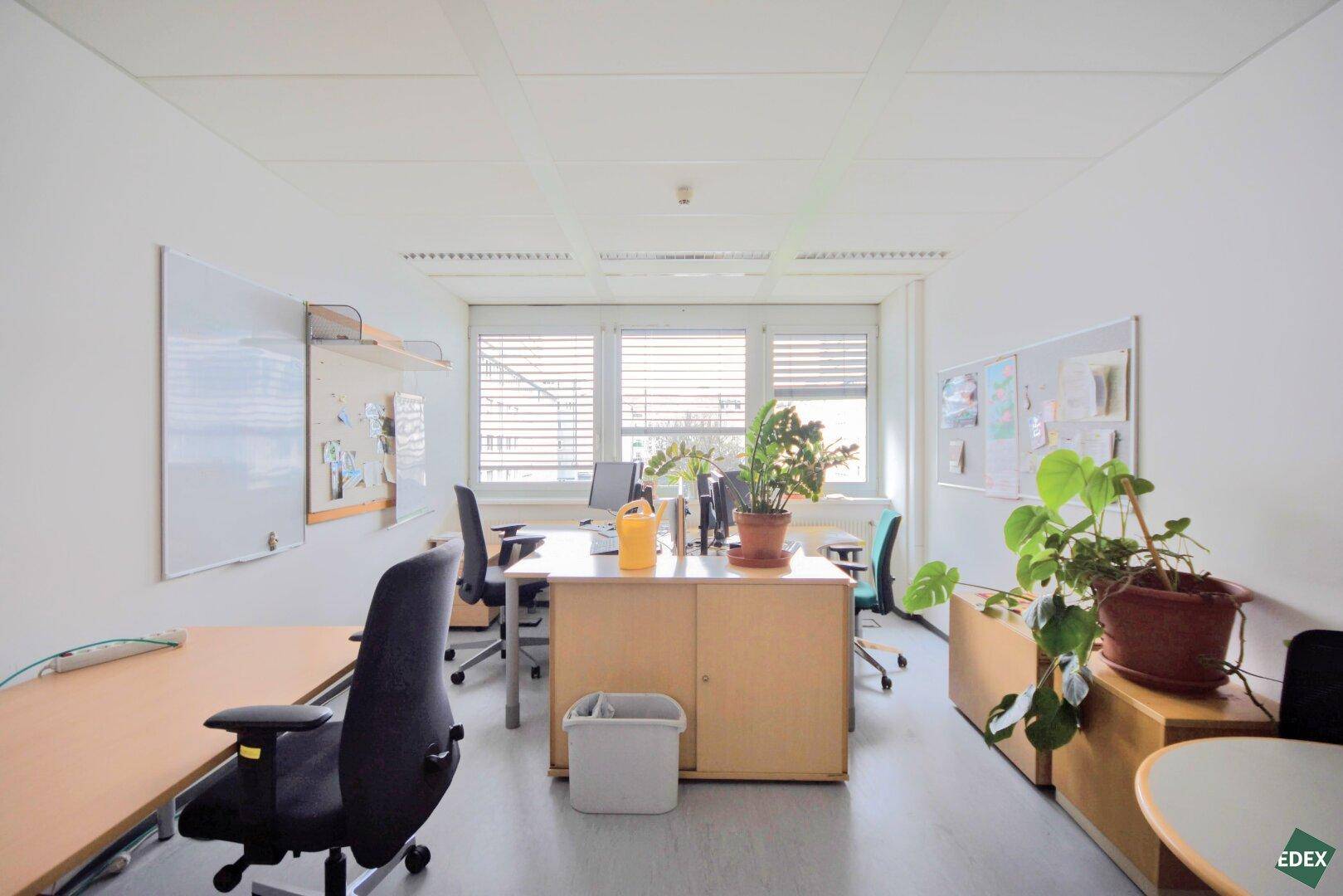 Helles Büro mit mehreren Arbeitsplätzen, Pflanzen und großen Fenstern mit Jalousien.