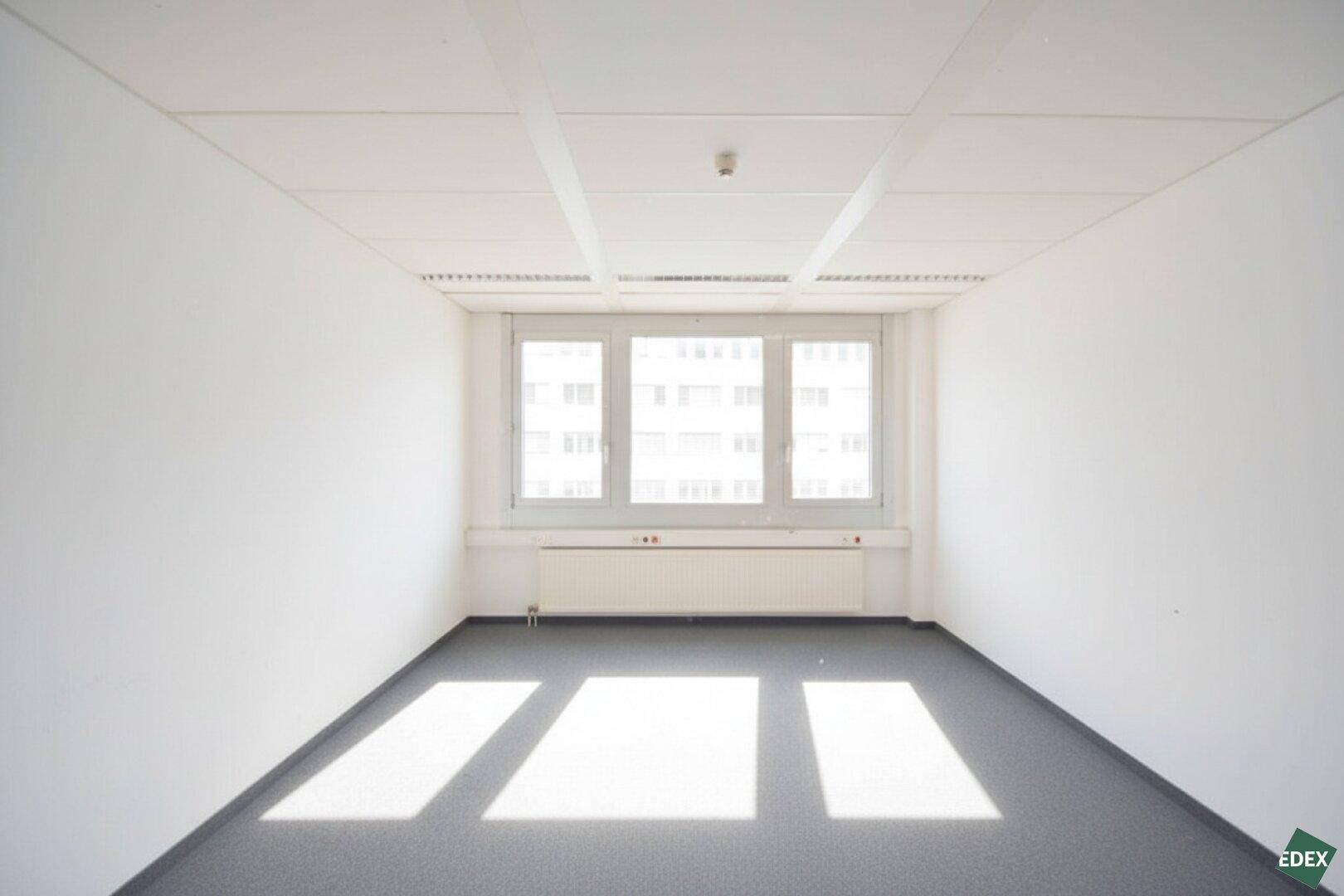Leeres Büro mit großen Fenstern, die viel Sonnenlicht hereinlassen, und einem grauen Teppichboden.