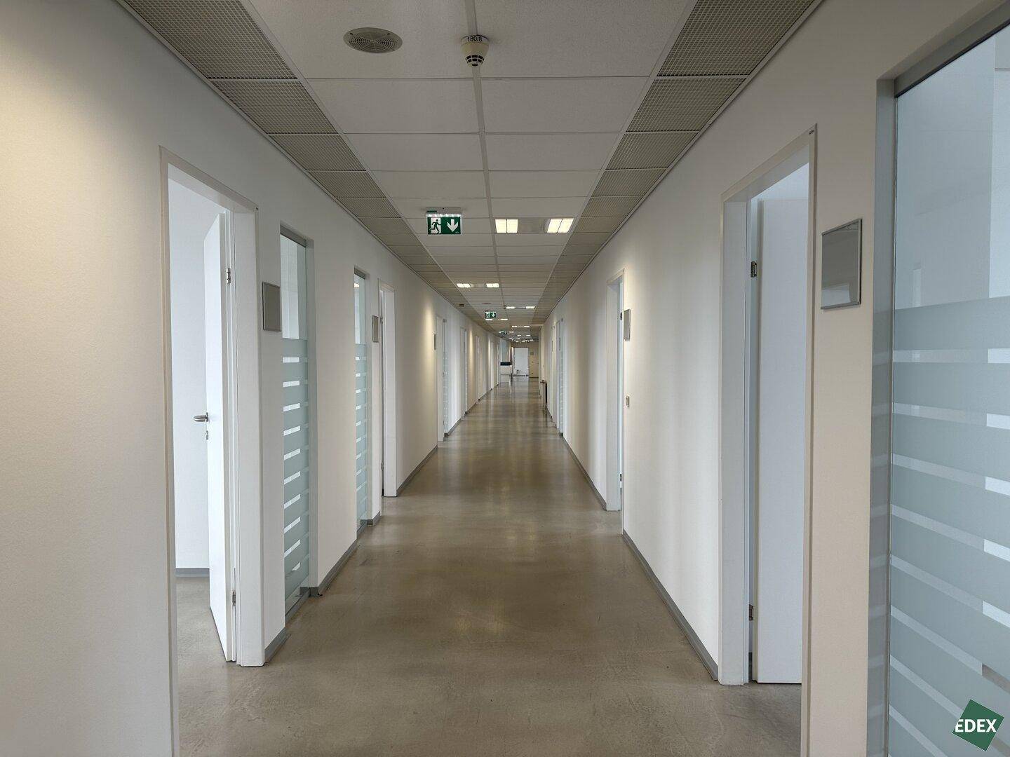 Langer, heller Bürogang mit vielen Türen und Milchglas-Elementen, die zu den Büros führen.