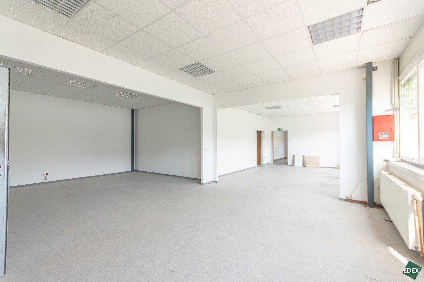 Offener Bürobereich mit hellen Wänden, abgehängter Decke und viel Tageslicht.