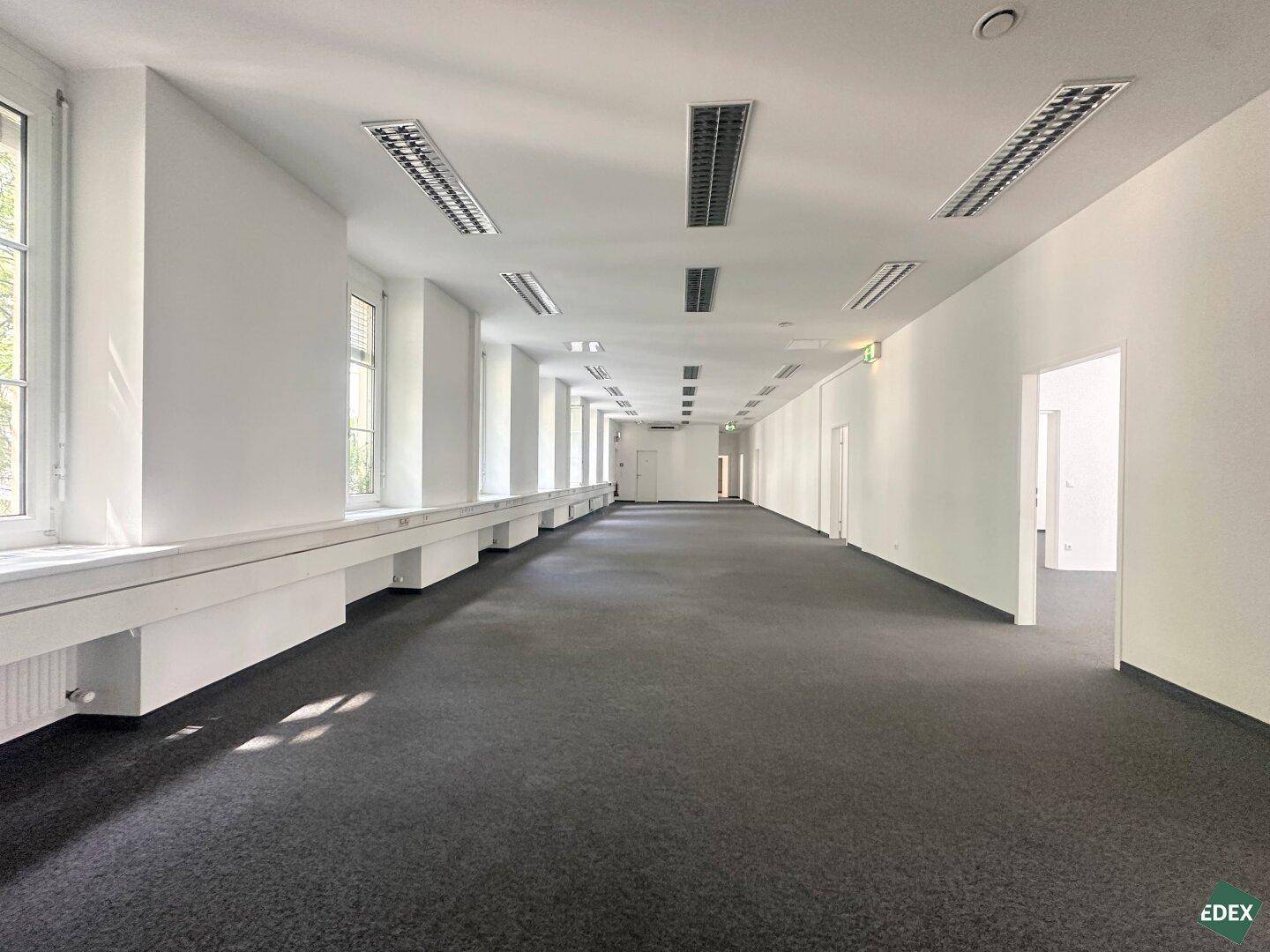 Langer Büroraum mit Teppichboden, vielen Fenstern und durchgehender Fensterbank, bereit zur Einrichtung.