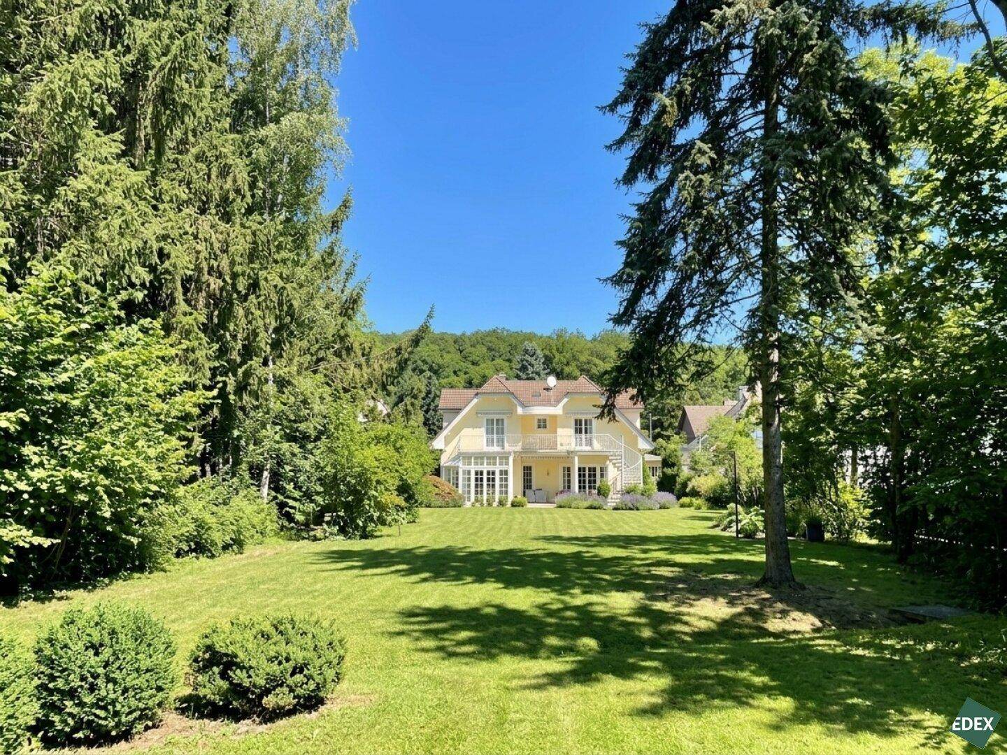 Großzügiger Garten mit Rasenfläche, altem Baumbestand und einem Haus im Hintergrund.