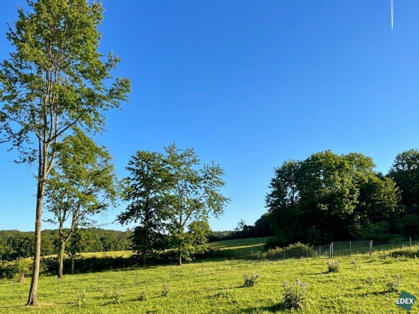 Weitläufige grüne Landschaft mit hohen Bäumen unter einem klaren blauen Himmel und sanften Hügeln.