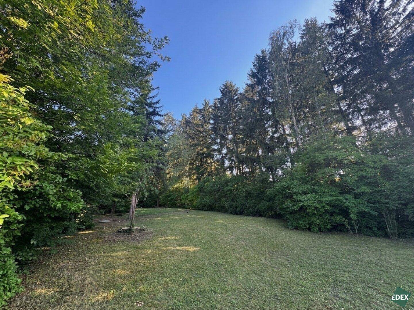 Weitläufiger Gartenbereich mit Rasen, hohen Bäumen und natürlicher Vegetation.