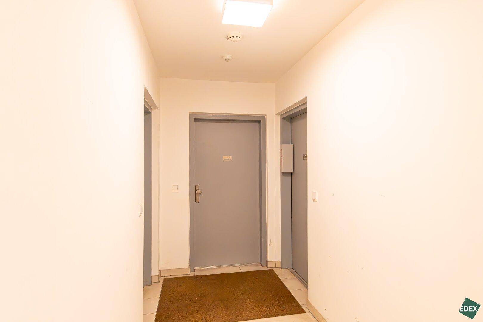 Heller Flur im Gebäude mit Zugang zu den Wohnungen und dem Aufzug.