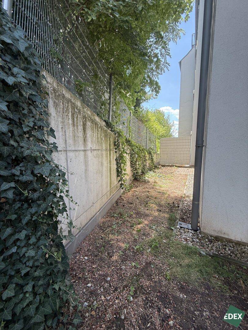 Schmaler Gartenstreifen entlang einer Betonmauer mit Efeu und natürlicher Bepflanzung.