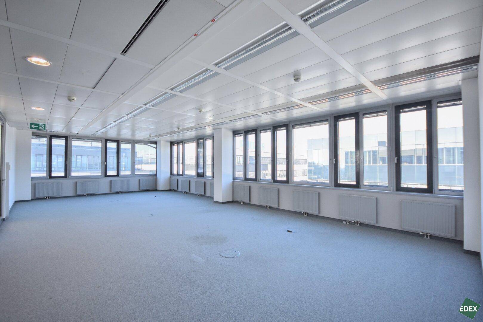 Geräumiger, leerer Büroraum mit Teppichboden, vielen Fenstern und abgehängter Decke, bereit zur Nutzung.