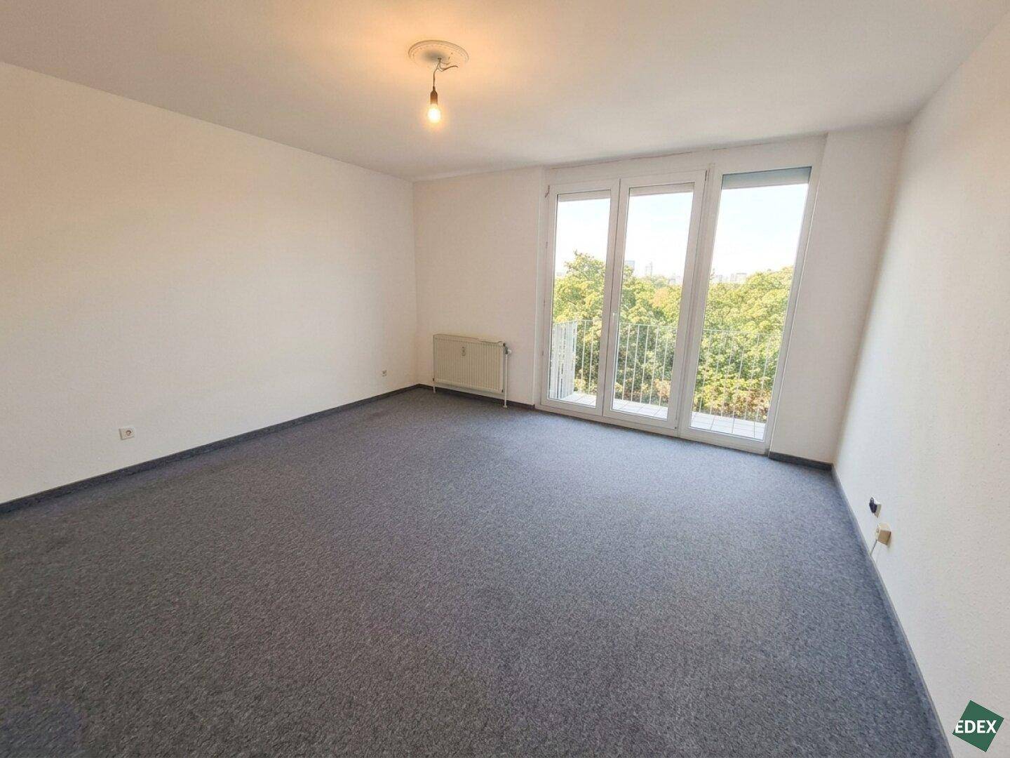 Geräumiges Zimmer mit grauem Teppichboden und großen Fenstern mit Blick ins Grüne.