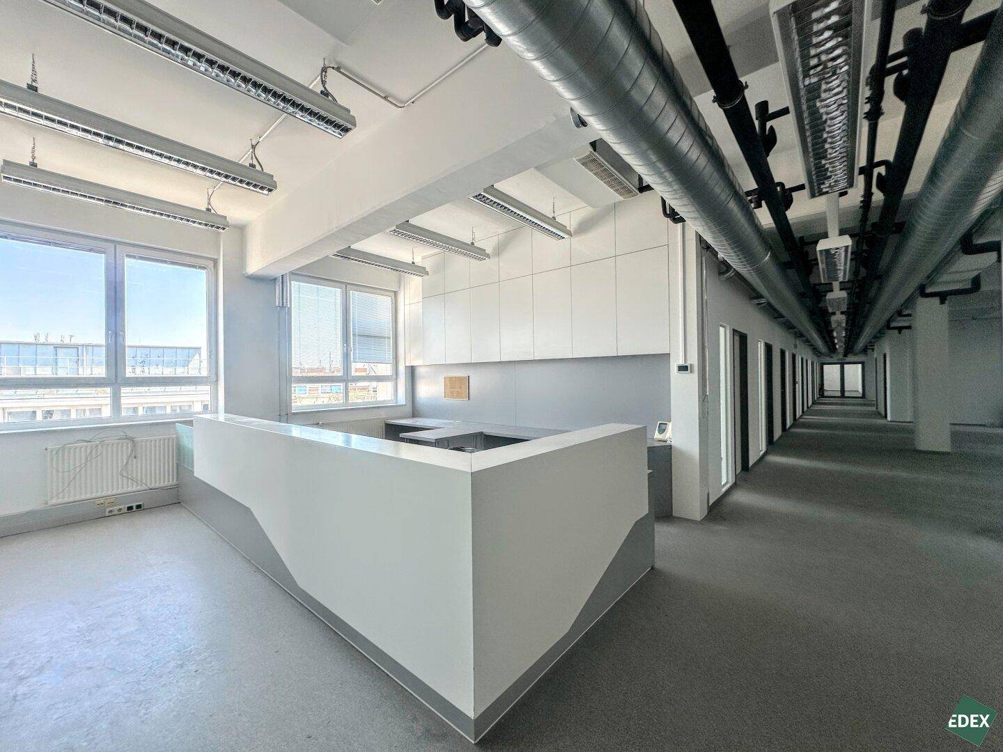 Moderner Bürogang mit Empfangstheke und großen Fenstern, die den Raum mit natürlichem Licht durchfluten.