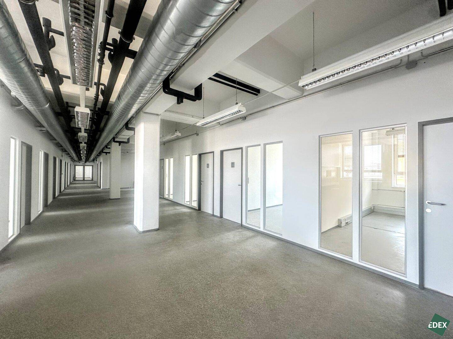 Weitläufiger Bürogang mit vielen Glastüren zu Einzelbüros, Betonboden und sichtbaren Deckeninstallationen im Industriestil.