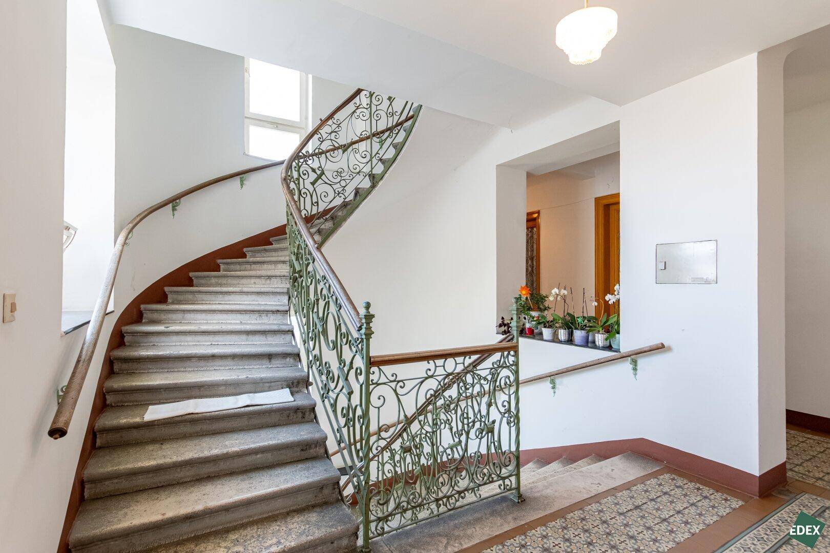 Elegantes Treppenhaus mit geschwungenem Geländer und Pflanzen, das den Charme des Altbaus unterstreicht.