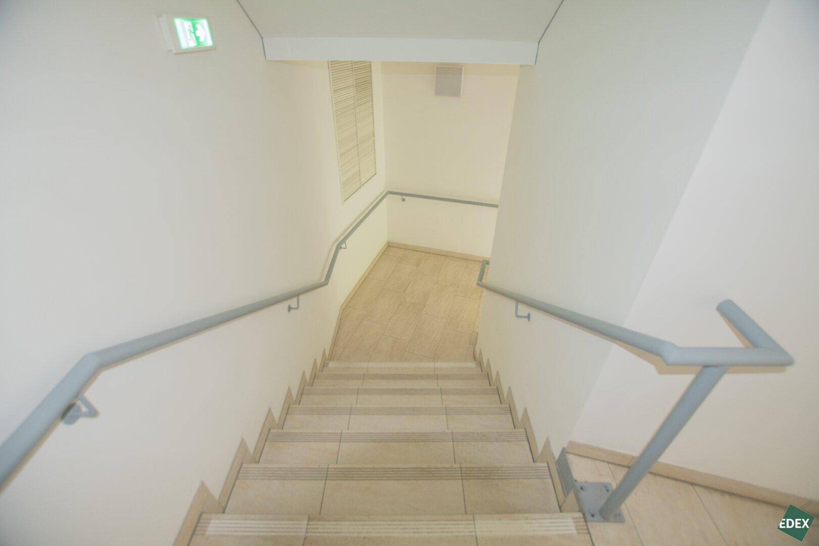 Slide 8